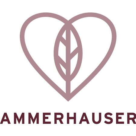 Hotel-Restaurant Ammerhauser Anthering Exterior foto